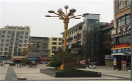 【案例】江西省上饶市10米玉兰灯安装