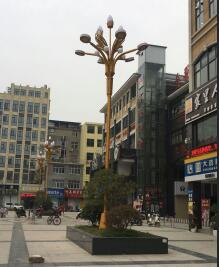 【案例】江西省上饶市10米玉兰灯安装